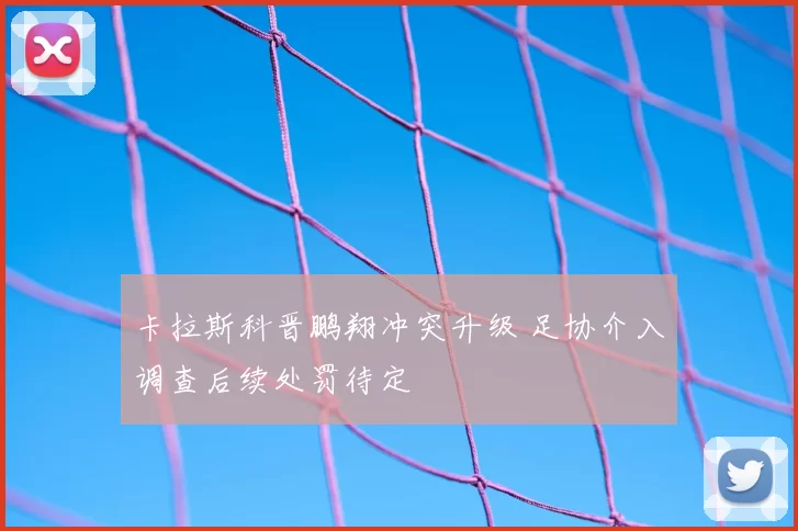 卡拉斯科晋鹏翔冲突升级 足协介入调查后续处罚待定