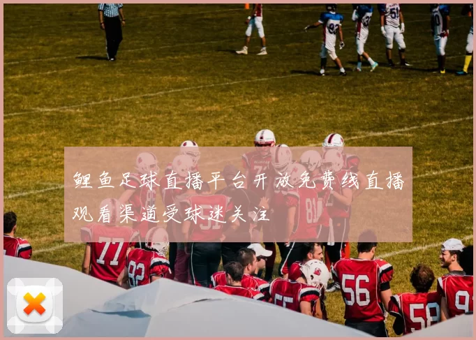 鲤鱼足球直播平台开放免费线直播观看渠道受球迷关注